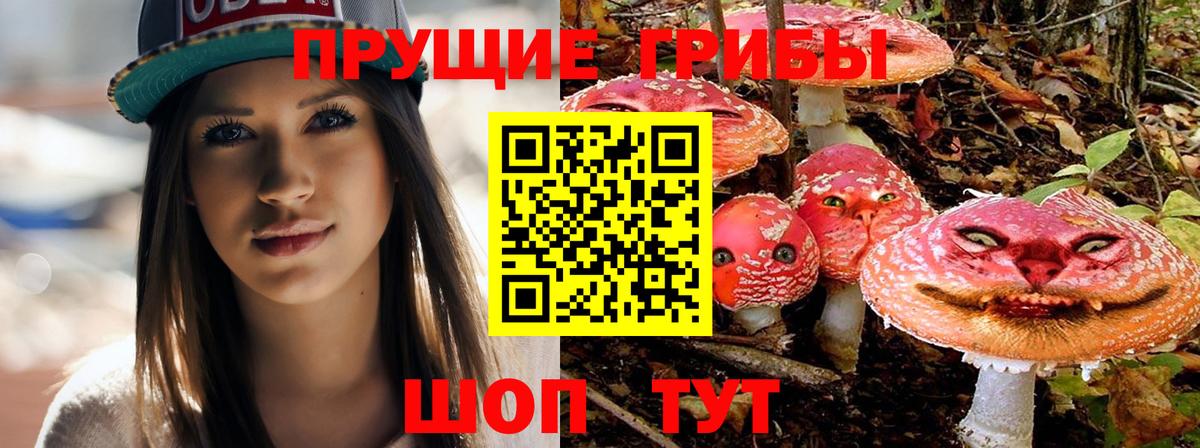 Псилоцибиновые грибы Psilocybine cubensis  Вход с VPN  Всеволожск 